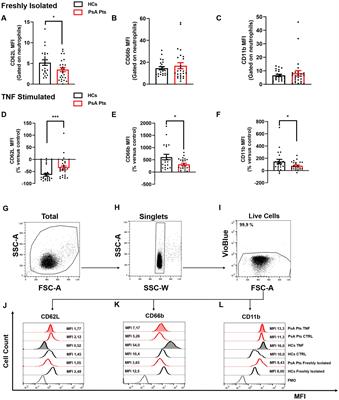 Neutrophil exhaustion and impaired functionality in psoriatic arthritis patients